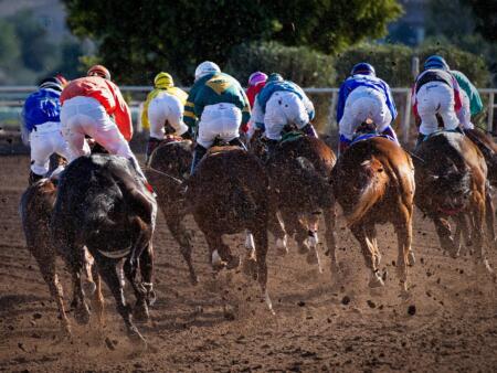 TAB NZ Explained: New Zealand’s Betting Operator, Rules and Facts